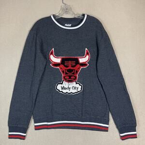 Mustache 3Rd Gade Sweatshirt Mens S Gray Chicago Bulls NBA‎ Logo Pullover